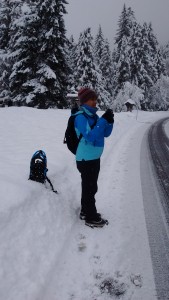 Mt Rainier - Rampart Ridge to Longmire Viewpoint 005