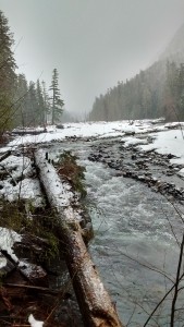 Wonderland Trail - Nisqually River